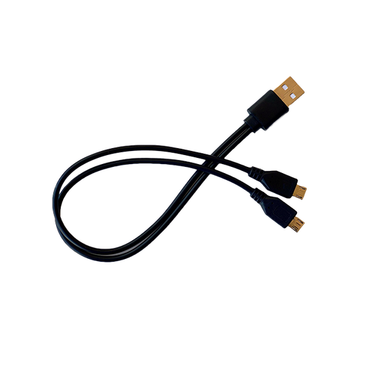 Dual-pronged Charging Cable